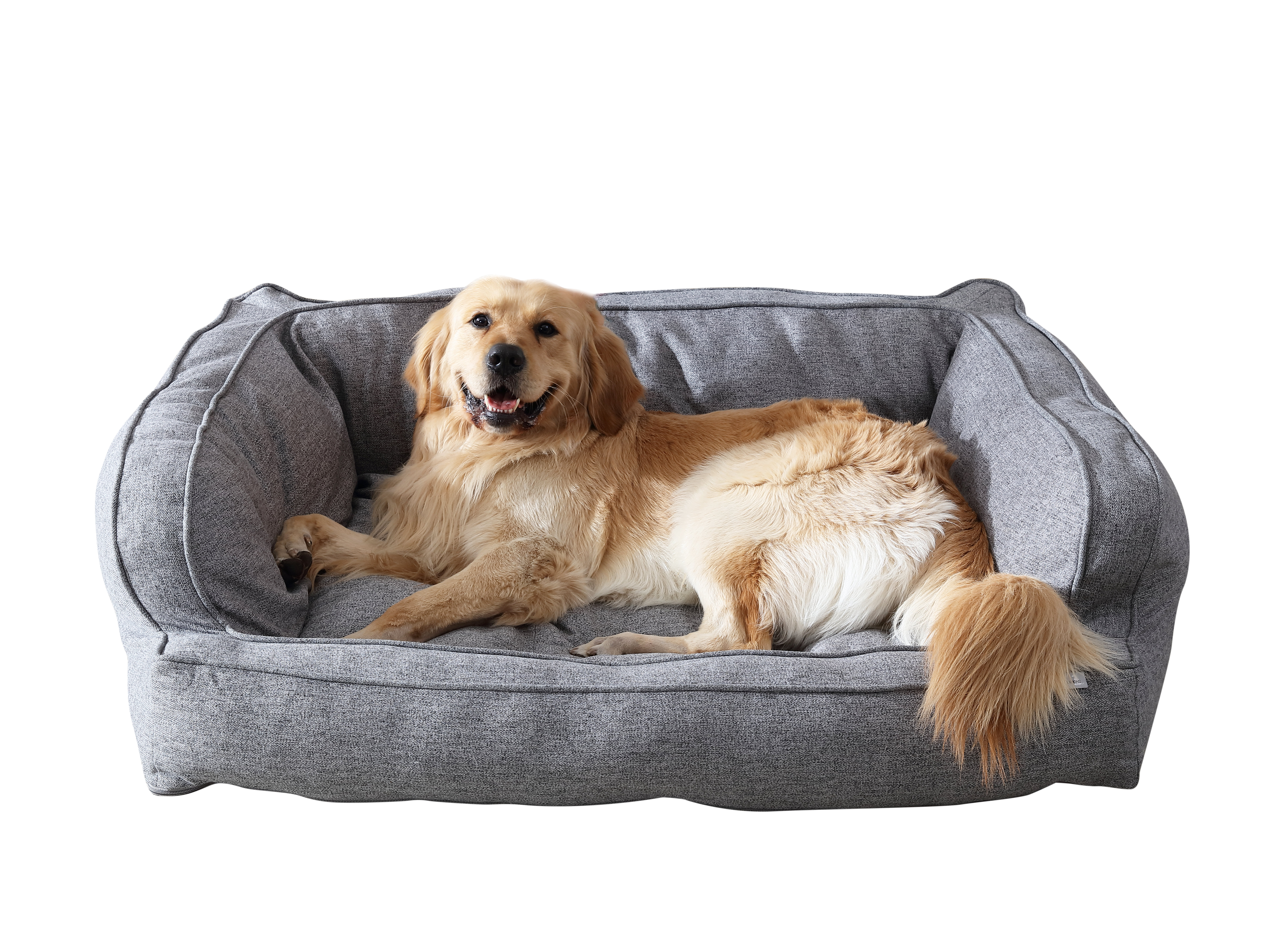 Tucker Murphy Pet™ Hartz Bolster Pet Bed & Reviews | Wayfair